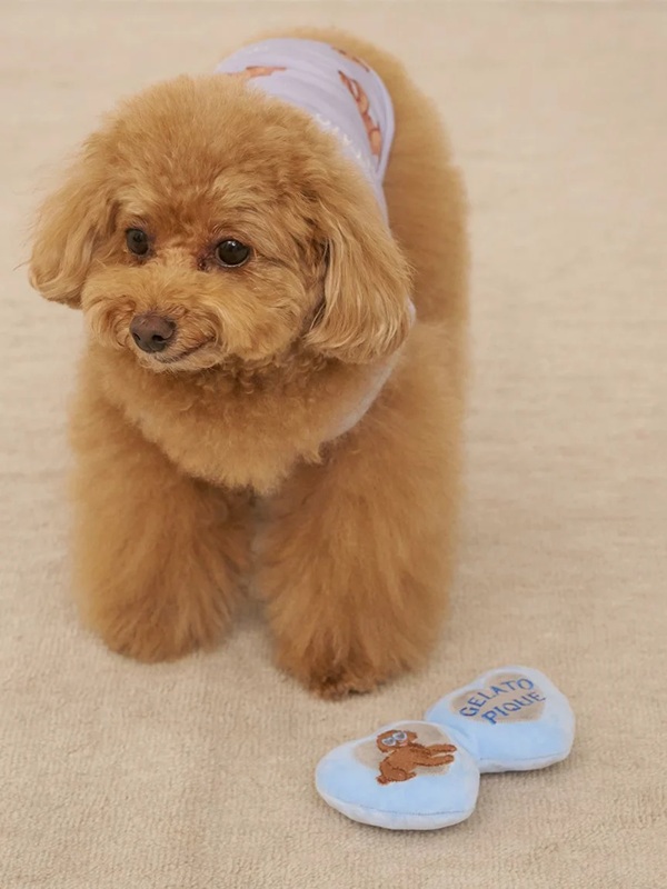 gelato pique（ジェラートピケ）【CAT&DOG】【販路限定商品】トイプードルサングラストイ｜全2色