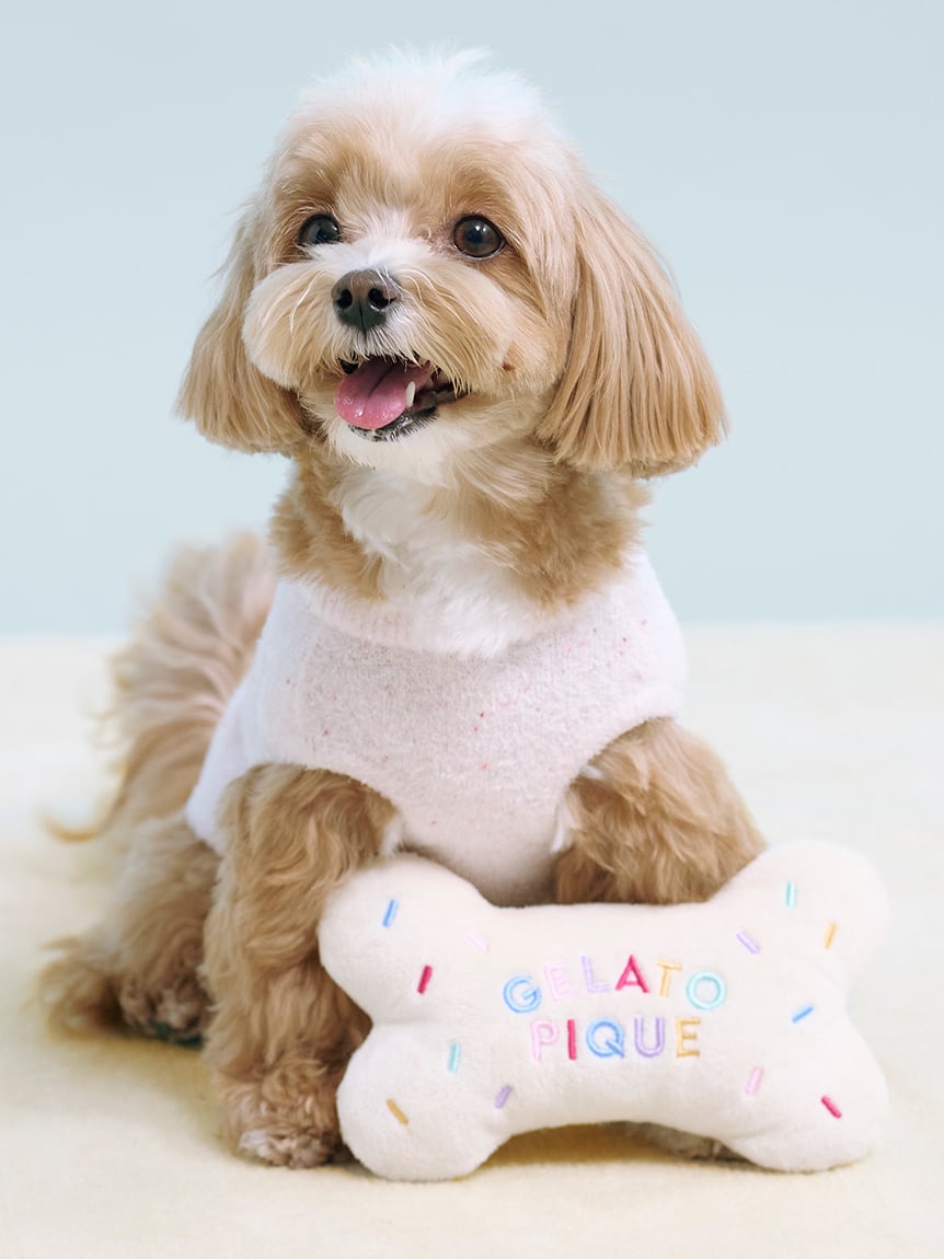 gelato pique（ジェラートピケ）【CAT&DOG】【販路限定商品】【BIRTHDAY】ボーントイ