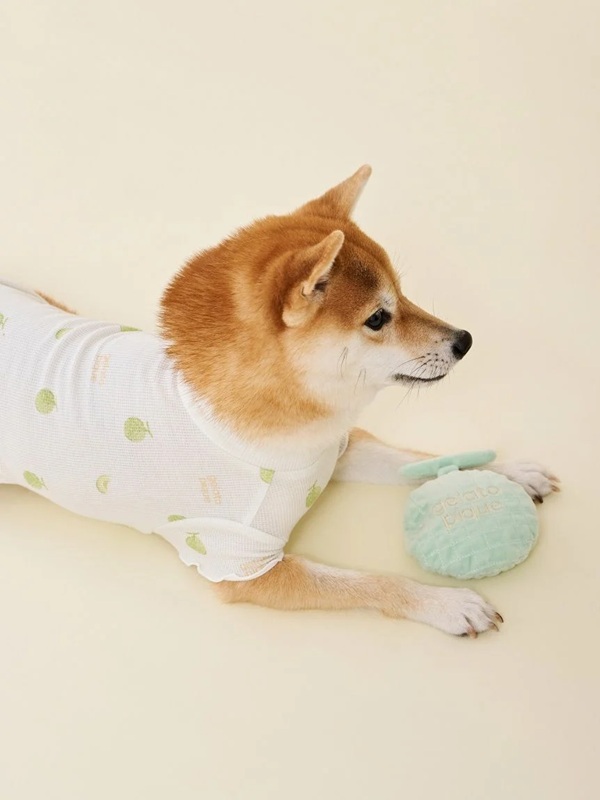 gelato pique（ジェラートピケ）【CAT&DOG】【販路限定商品】フルーツトイ｜全2色