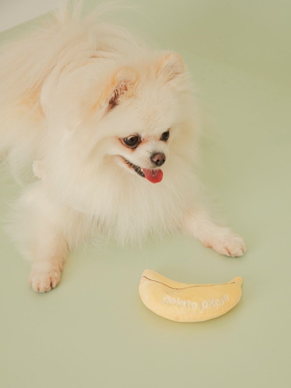 gelato pique（ジェラートピケ）【CAT&DOG】【販路限定商品】フルーツトイ｜全2色