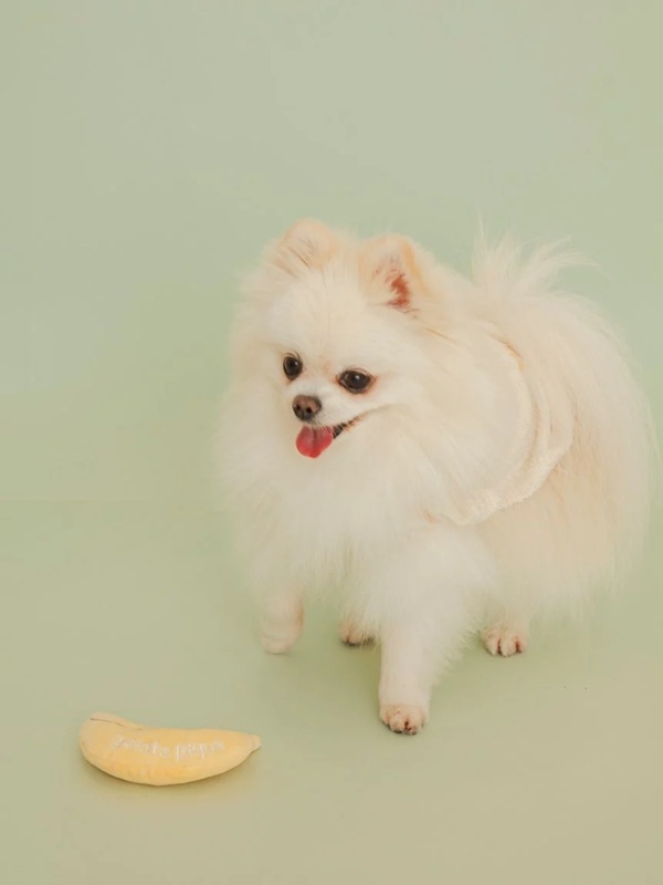 gelato pique（ジェラートピケ）【CAT&DOG】【販路限定商品】フルーツトイ｜全2色