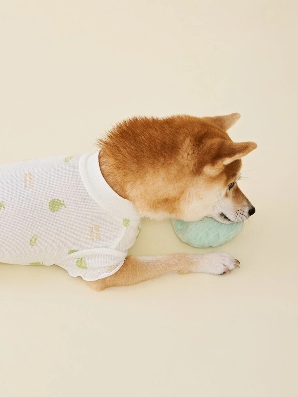 gelato pique（ジェラートピケ）【CAT&DOG】【販路限定商品】フルーツトイ｜全2色