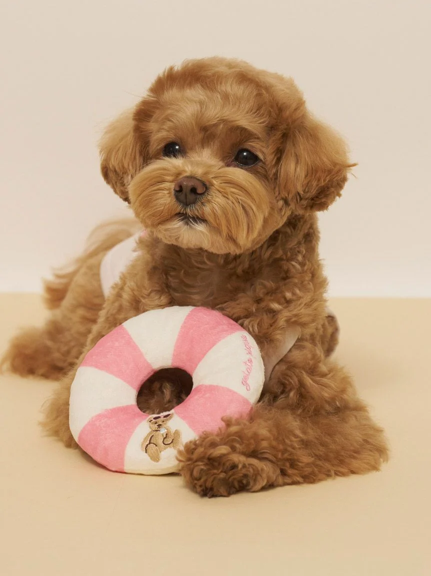 gelato pique（ジェラートピケ）【CAT&DOG】サマーベアトイ