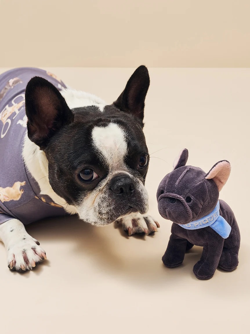 gelato pique（ジェラートピケ）【CAT&DOG】【販路限定商品】マフラーDOGモチーフトイ フレンチブルドッグ