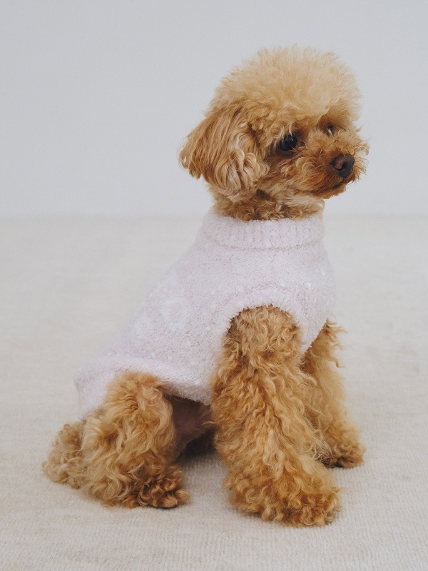 gelato pique（ジェラートピケ）【CAT&DOG】【販路限定商品】ベビモコネップｄｏｇプルオーバー｜全3色