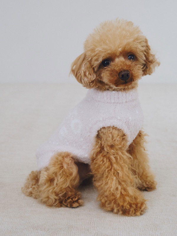 gelato pique（ジェラートピケ）【CAT&DOG】【販路限定商品】ベビモコネップｄｏｇプルオーバー｜全3色