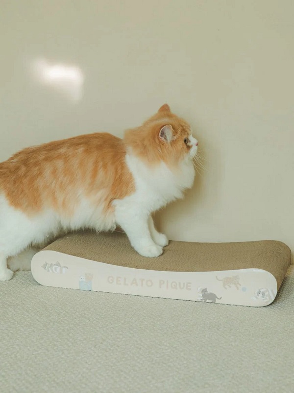 gelato pique（ジェラートピケ）【CAT&DOG】【販路限定商品】ねこ柄つめとぎ｜全2色