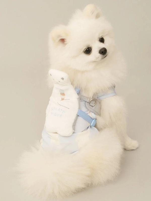 gelato pique（ジェラートピケ）【CAT&DOG】【販路限定商品】シロクマモチーフ保冷剤入れリュック