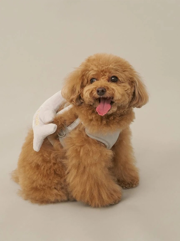 gelato pique（ジェラートピケ）【CAT&DOG】【販路限定商品】シャークモチーフ保冷剤入れリュック