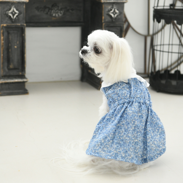 21春夏新作 Laura Ashley ローラアシュレイ ふんわり襟 ワンピース 犬服 ドックウェアcalulu カルル 21春夏新作 Laura Ashley ローラアシュレイ ふんわり襟 ワンピース 犬服 ドックウェアcalulu カルル