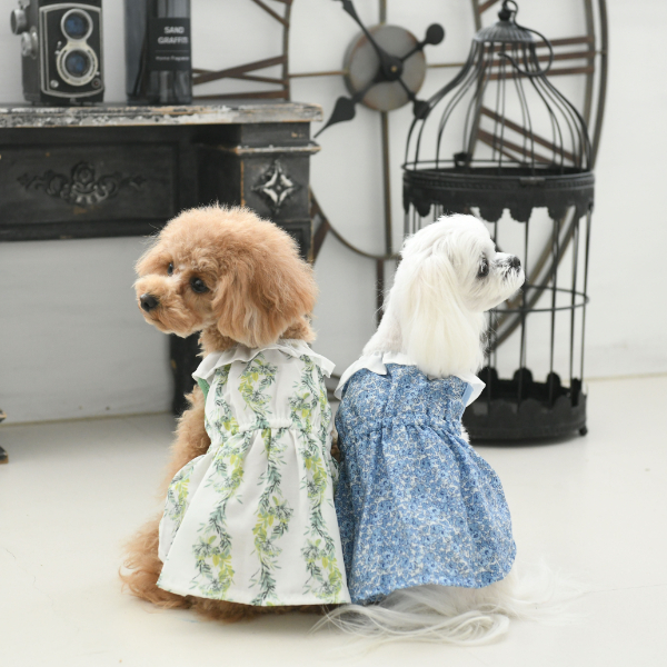 L 3 6 5 3kg トイプードルなど 犬服 ドックウェアcalulu カルル