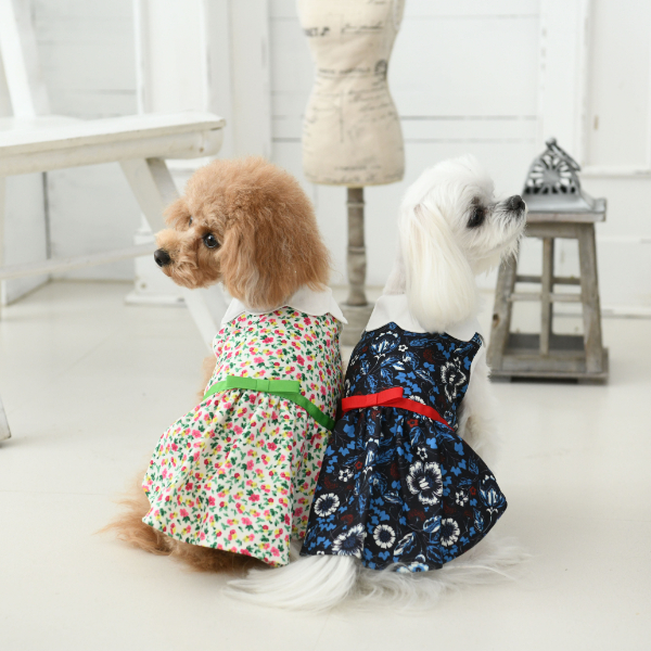 21春夏 Laura Ashley ローラアシュレイ リボンベルト ワンピース 犬服 ドックウェアcalulu カルル