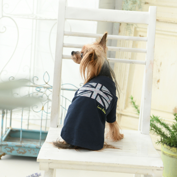 LAURA ASHLEY（ローラアシュレイ）ユニオン シャツ
