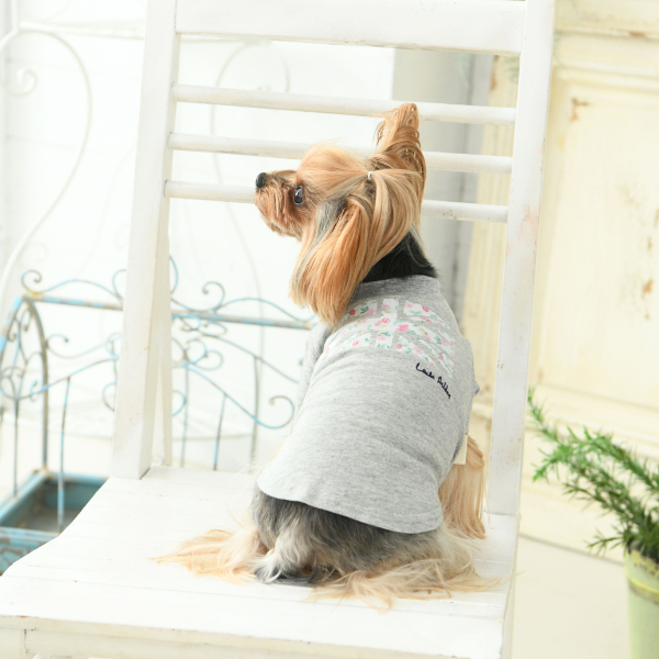 LAURA ASHLEY（ローラアシュレイ）ユニオン シャツ