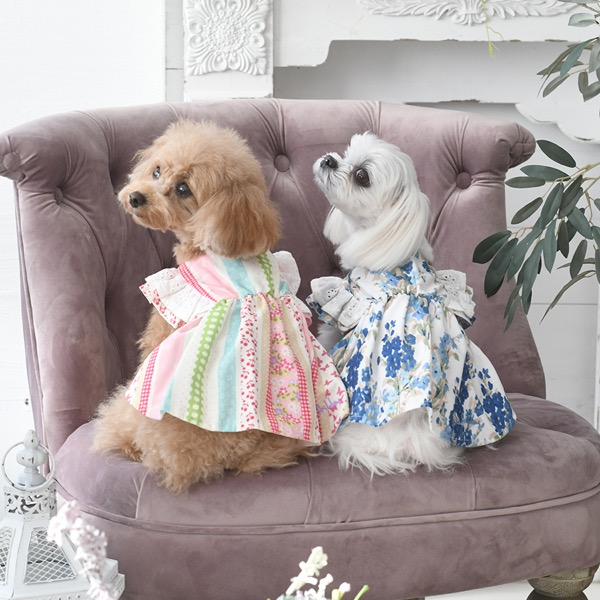 LAURA ASHLEY（ローラアシュレイ）ショルダーコットンフリルワンピース