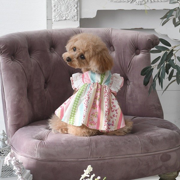 2022 LAURA ASHLEY（ローラアシュレイ）ショルダーコットンフリル