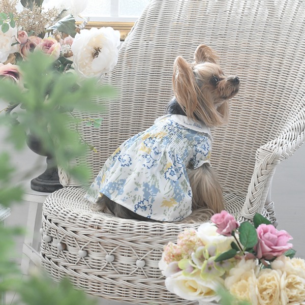 【パピー・超小型犬用】LAURA ASHLEY（ローラアシュレイ）レース襟付きワンピース