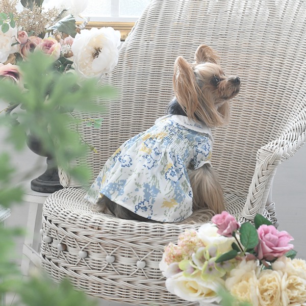 2022 LAURA ASHLEY（ローラアシュレイ）レース襟付きワンピース | 犬服 ...