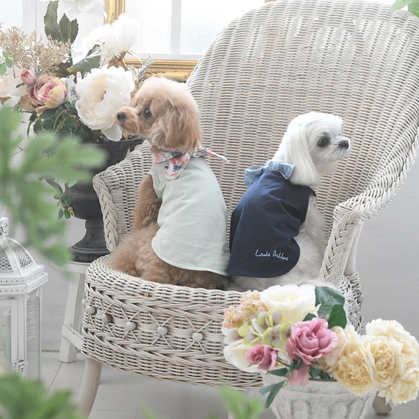 【パピー・超小型犬用】LAURA ASHLEY（ローラアシュレイ）プリントスカーフタンク