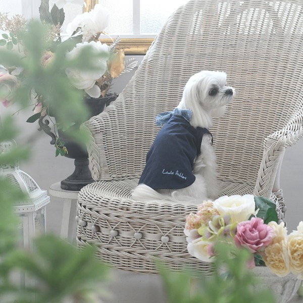 【パピー・超小型犬用】LAURA ASHLEY（ローラアシュレイ）プリントスカーフタンク