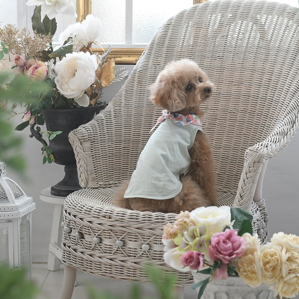 【パピー・超小型犬用】LAURA ASHLEY（ローラアシュレイ）プリントスカーフタンク