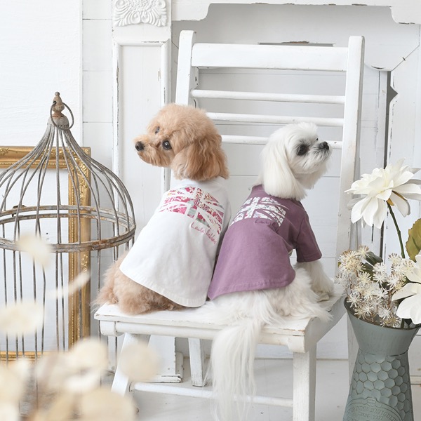 2022 LAURA ASHLEY（ローラアシュレイ）ユニオンプリントハイネックTシャツ 犬服・ドックウェアCalulu(カルル)