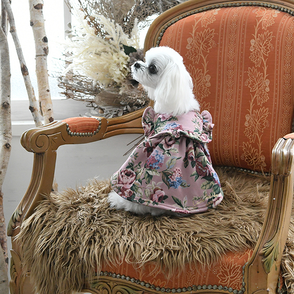 2022 LAURA ASHLEY（ローラアシュレイ）フリルワンピース | 犬服 ...