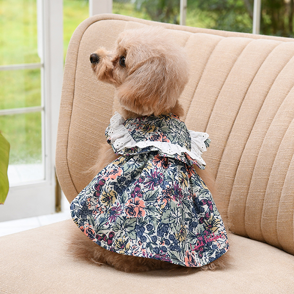 LAURA ASHLEY（ローラアシュレイ）ショルダーコットンフリルワンピース