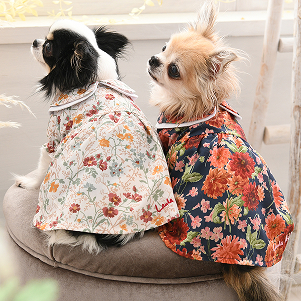 LAURA ASHLEY（ローラアシュレイ）ダブル襟ワンピース | 犬服・ドック