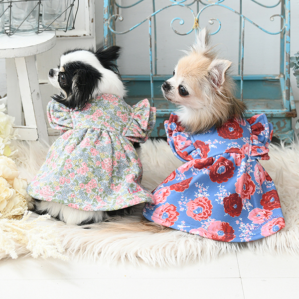 LAURA ASHLEY（ローラアシュレイ）裏起毛ダブルフリルワンピース