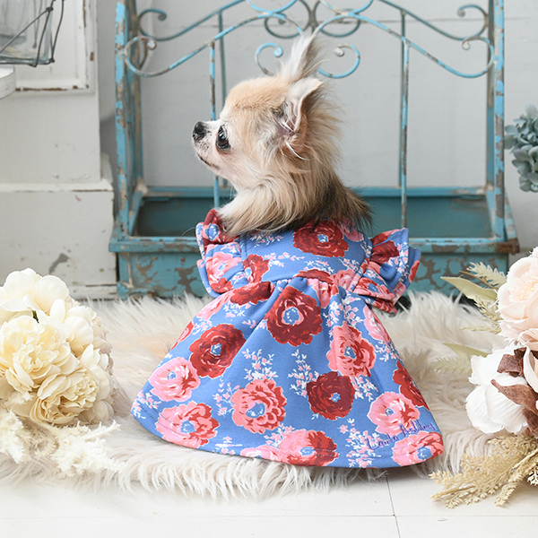 LAURA ASHLEY（ローラアシュレイ）裏起毛ダブルフリルワンピース