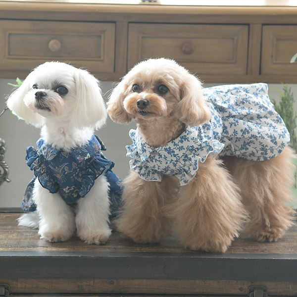 2025新商品 LAURA ASHLEY（ローラアシュレイ）リボンワンピース