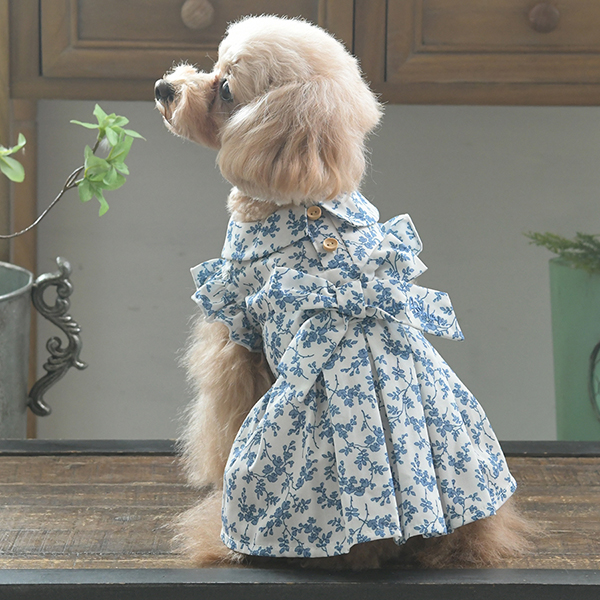 2025新商品 LAURA ASHLEY（ローラアシュレイ）リボンワンピース