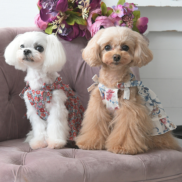 2025新商品 LAURA ASHLEY（ローラアシュレイ）スモッキング刺繍キャミワンピース