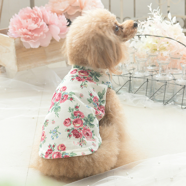 2025新商品 LAURA ASHLEY（ローラアシュレイ）ワッフルタンク