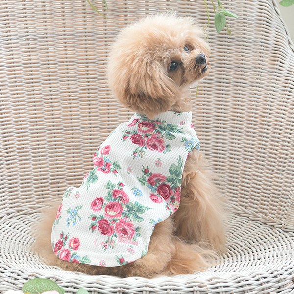 2025新商品 LAURA ASHLEY（ローラアシュレイ）ワッフルタンク