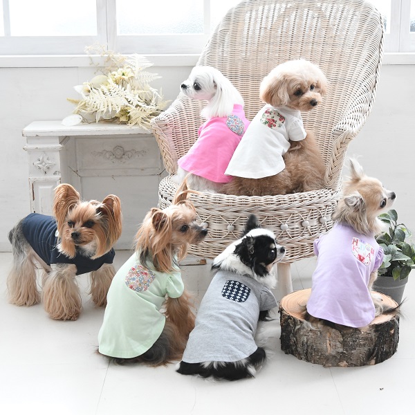 LAURA ASHLEY（ローラアシュレイ）ドッグシャツ｜全6色 | 犬服・ドックウェアCalulu(カルル)