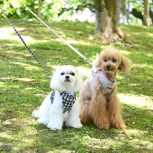 LAURA ASHLEY（ローラアシュレイ） リード 花柄 ネイビー | 犬服 ...