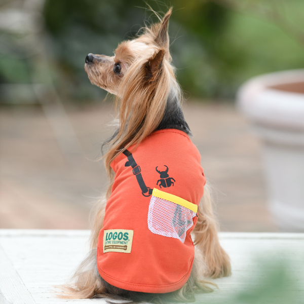 21春夏 Logos ロゴス 虫かご タンクトップ 犬服 ドックウェアcalulu カルル