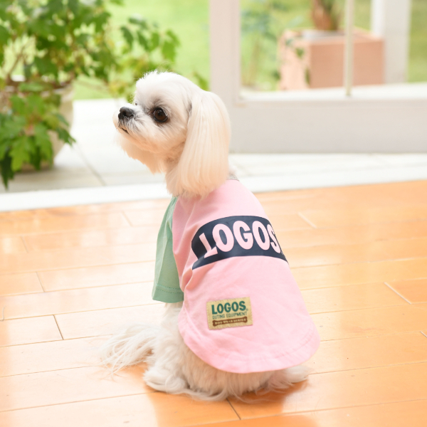 【2021春夏】LOGOS（ロゴス）クレイジー Tシャツ