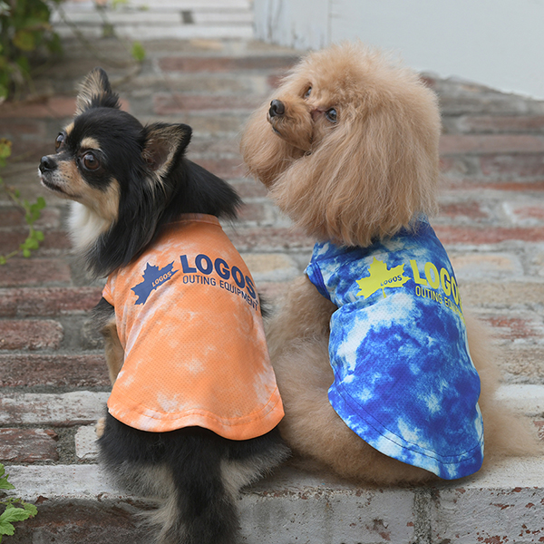 2025新商品 LOGOS（ ロゴス）サマースプラッシュタンク