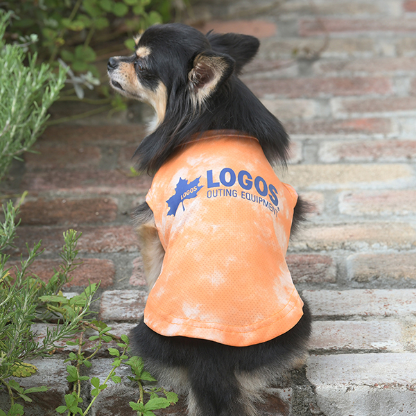 2025新商品 LOGOS（ ロゴス）サマースプラッシュタンク