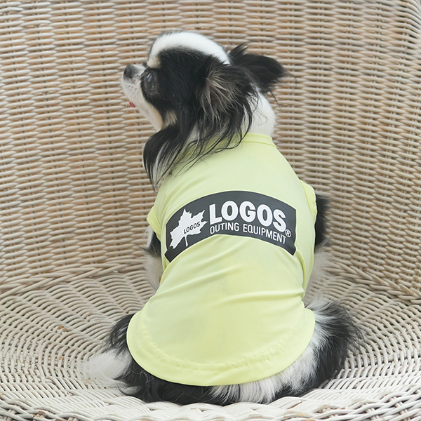2025新商品 LOGOS（ ロゴス）ボックスロゴタンク