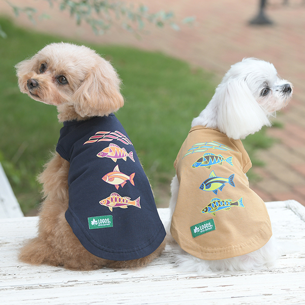 2025新商品 LOGOS（ ロゴス）フィッシュタンク
