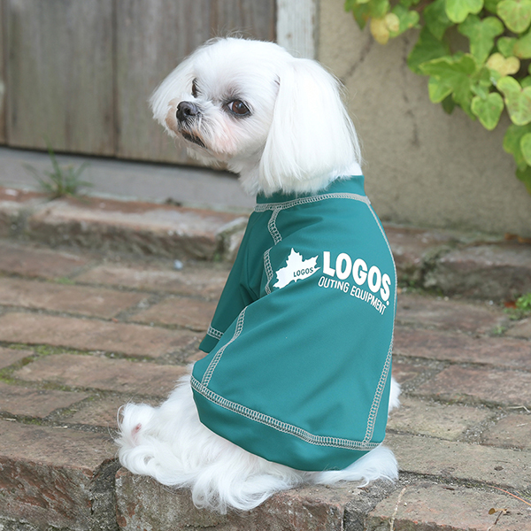 2025新商品 LOGOS（ ロゴス）アクティブラッシュガード