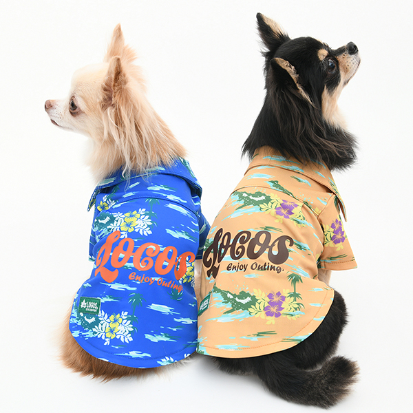 2026新商品 LOGOS（ロゴス）アロハリゾートシャツ
