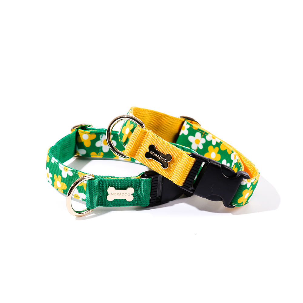 NORADOG（ノラドッグ）カラー / Picnic Collar