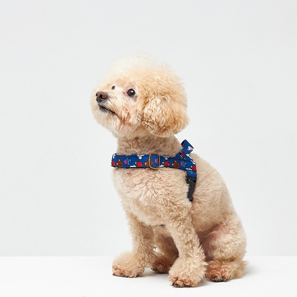 NORADOG（ノラドッグ）イージーハーネス / WooZoo Easy Harness