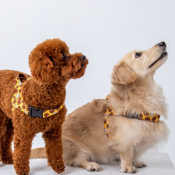 NORADOG（ノラドッグ）イージーハーネス / BoBo&ChuChu Easy Harness
