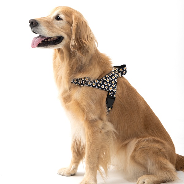 NORADOG（ノラドッグ）イージーハーネス / Daisy Easy Harness